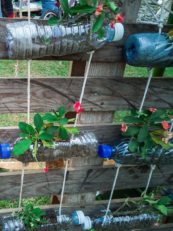 vertical garden